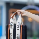 حقيبة Chloe الحجم الصغير